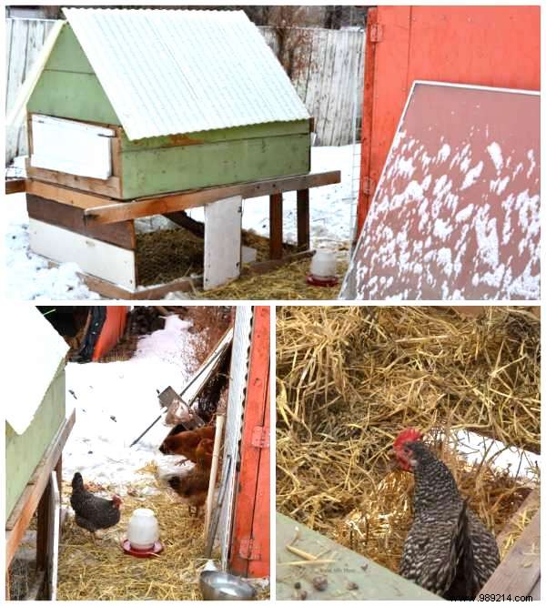 25 Ingenious DIY Chicken Coop Ideas Using Recycled Materials