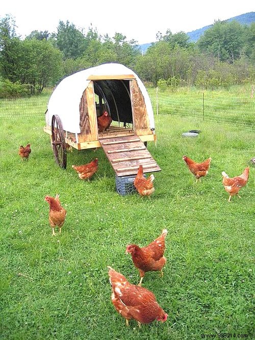 25 Ingenious DIY Chicken Coop Ideas Using Recycled Materials