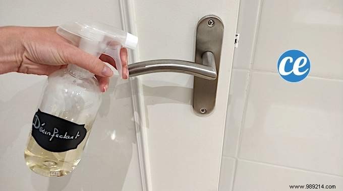 DIY Herbal Disinfectant: Simple, Natural Recipe for Effective Cleaning