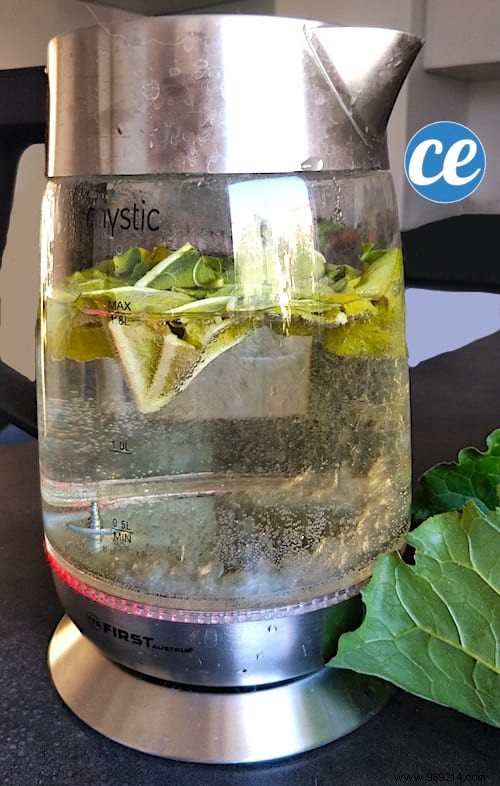 2 Genius Uses for Rhubarb Leaves: Natural Kettle Descaling and Pan Protection