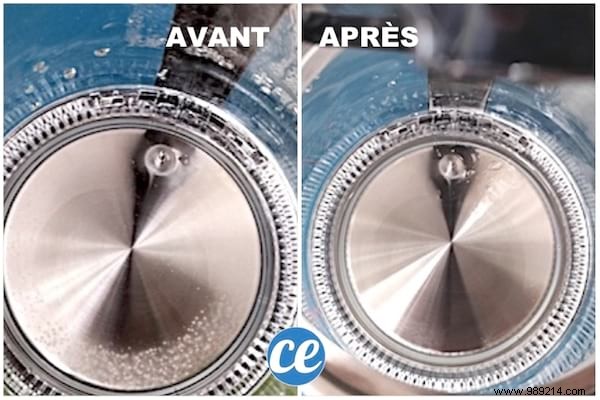 2 Genius Uses for Rhubarb Leaves: Natural Kettle Descaling and Pan Protection