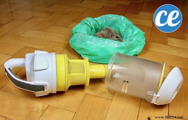 How to Deep Clean Your Bagless Vacuum in 8 Easy Steps for Better Suction