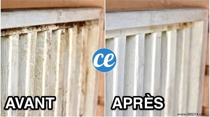 Proven No-Scrub Method to Remove Mold from Exterior Walls Using Bleach