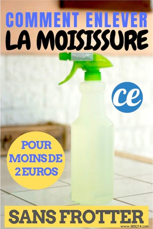 Proven No-Scrub Method to Remove Mold from Exterior Walls Using Bleach