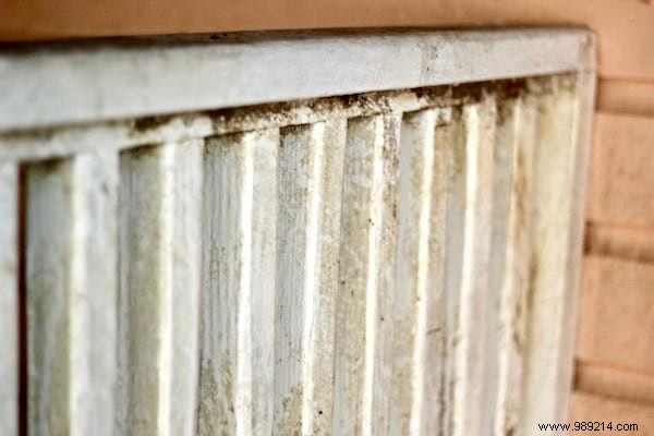 Proven No-Scrub Method to Remove Mold from Exterior Walls Using Bleach