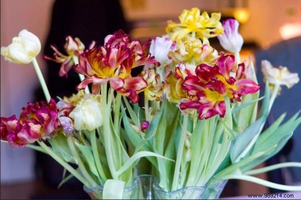 9 Clever Vodka Uses for Cleaning, Cooking, and Household Hacks