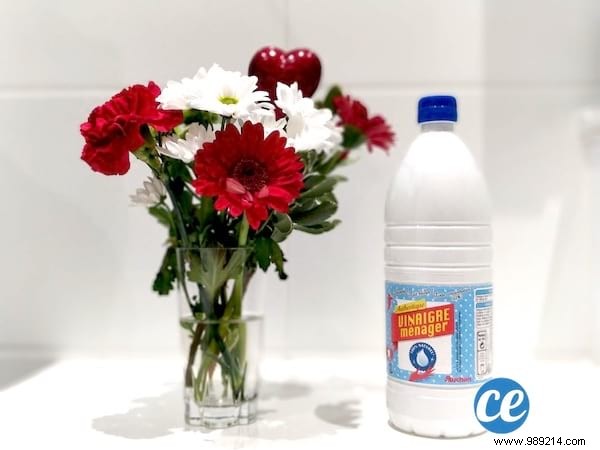 160 Proven Uses for White and Apple Cider Vinegar: Cleaning, Gardening, Health & Home Hacks