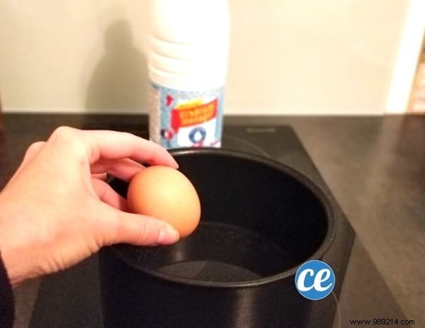 160 Proven Uses for White and Apple Cider Vinegar: Cleaning, Gardening, Health & Home Hacks