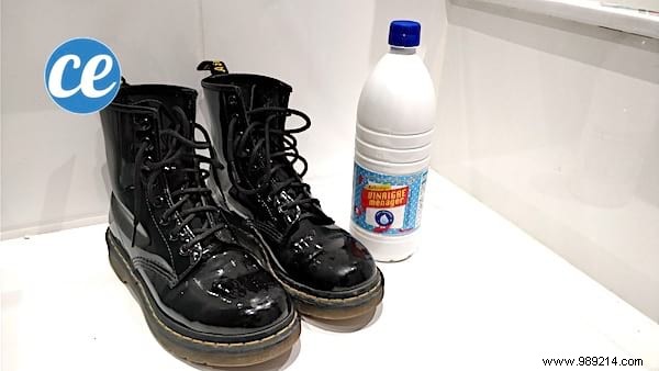 160 Proven Uses for White and Apple Cider Vinegar: Cleaning, Gardening, Health & Home Hacks