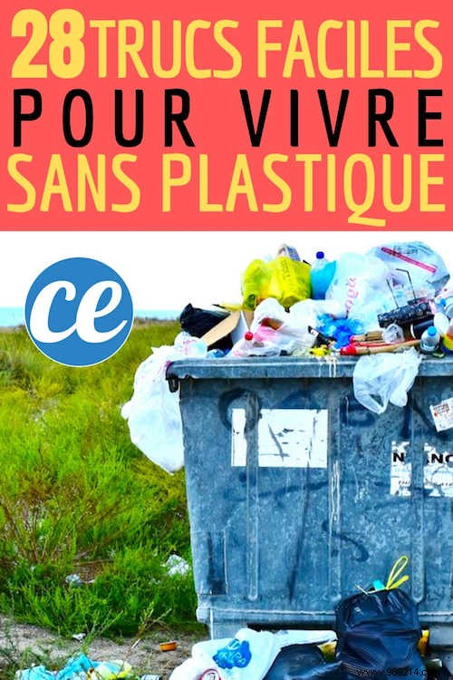 28 Proven Tips to Slash Plastic Waste: Your Guide to Plastic-Free Living