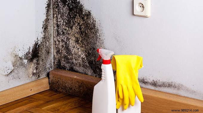 How to Safely Remove Mold from Walls Using Natural Ingredients