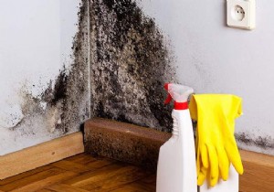 How to Safely Remove Mold from Walls Using Natural Ingredients