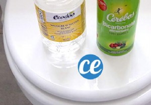 Baking Soda and White Vinegar: The Ultimate Natural Toilet Bowl Cleaner