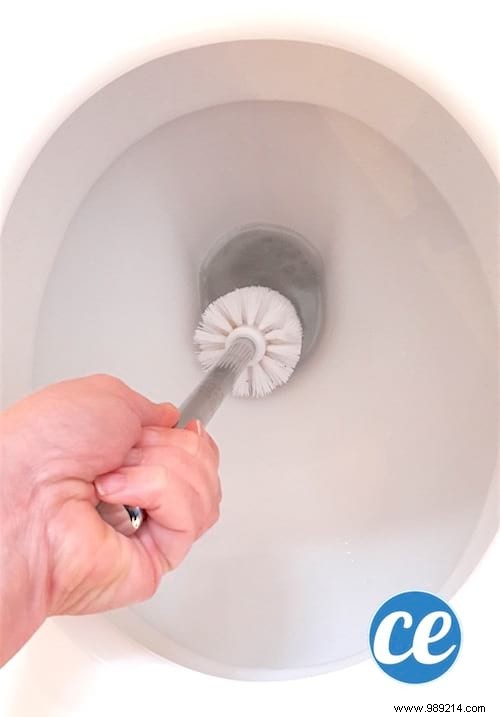 Baking Soda and White Vinegar: The Ultimate Natural Toilet Bowl Cleaner