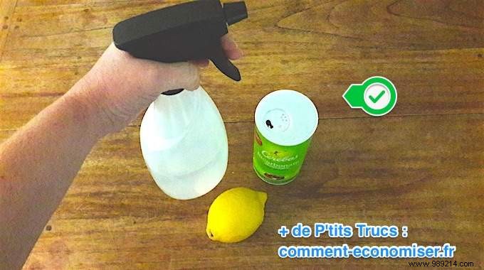 Quick 1-Minute DIY Air Freshener Spray: Keep Your Home Smelling Fresh Naturally