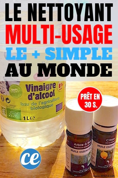 DIY Natural Multi-Purpose Cleaner: Simple, Economical, Ready in 30 Seconds