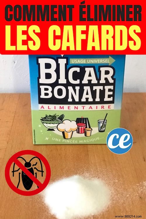 Eliminate Cockroaches Naturally with Baking Soda: Safe, Proven Home Remedy