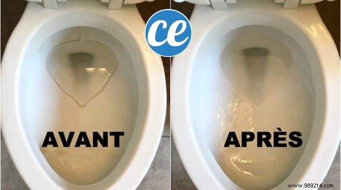 Proven DIY Trick to Whiten Toilet Bowl Bottom and Remove Limescale Effortlessly