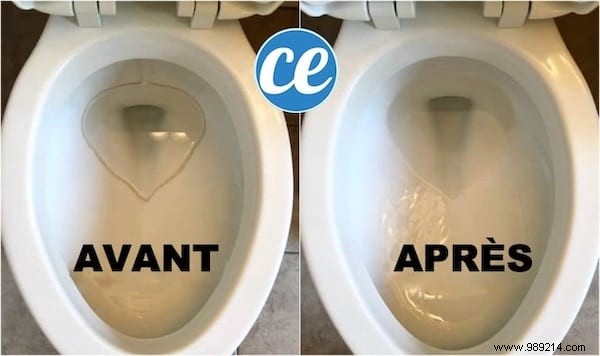 Proven DIY Trick to Whiten Toilet Bowl Bottom and Remove Limescale Effortlessly