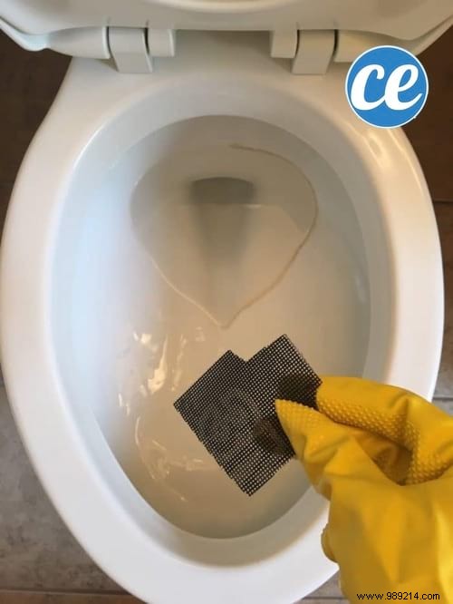 Proven DIY Trick to Whiten Toilet Bowl Bottom and Remove Limescale Effortlessly