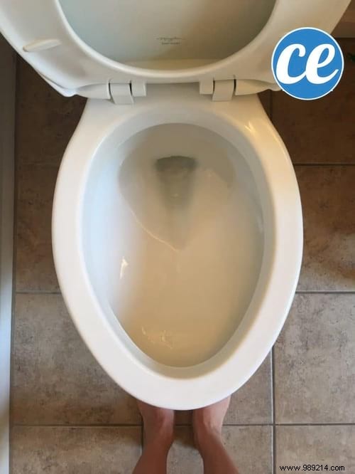 Proven DIY Trick to Whiten Toilet Bowl Bottom and Remove Limescale Effortlessly