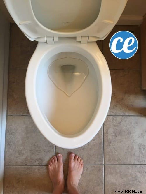 Proven DIY Trick to Whiten Toilet Bowl Bottom and Remove Limescale Effortlessly