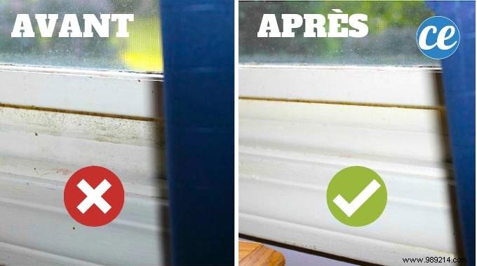 4 Proven Natural Methods to Safely Eliminate Mold at Home