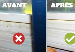4 Proven Natural Methods to Safely Eliminate Mold at Home
