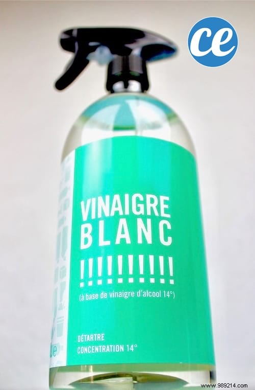 4 Proven Natural Methods to Safely Eliminate Mold at Home