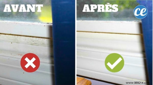 4 Proven Natural Methods to Safely Eliminate Mold at Home