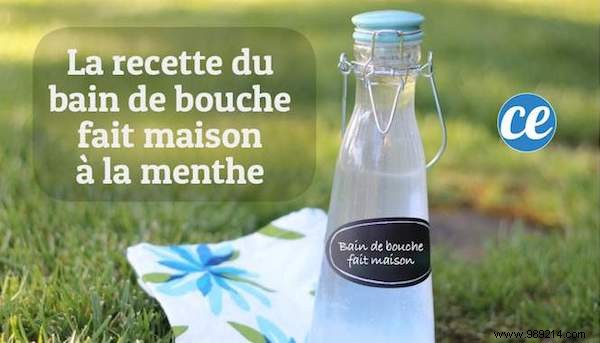 46 Everyday Products to Make at Home: Healthier, Cheaper, Natural Alternatives