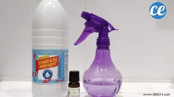 46 Everyday Products to Make at Home: Healthier, Cheaper, Natural Alternatives