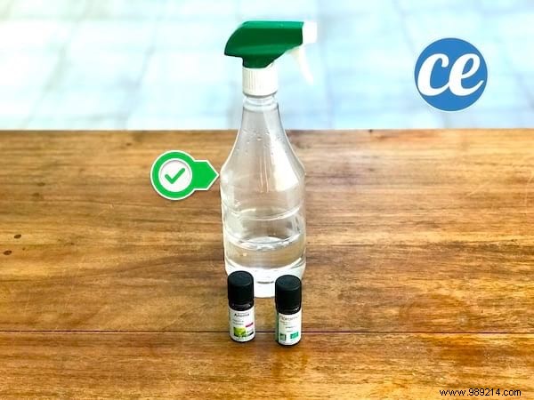 My 1-Minute Recipe for a 100% Natural Homemade Air Freshener Spray