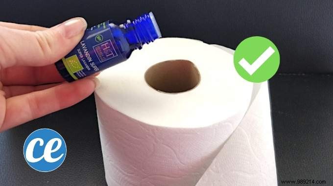 Simple Essential Oil Trick: Keep Your Toilet Smelling Fresh Naturally