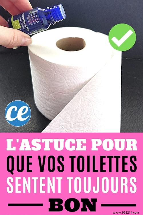 Simple Essential Oil Trick: Keep Your Toilet Smelling Fresh Naturally