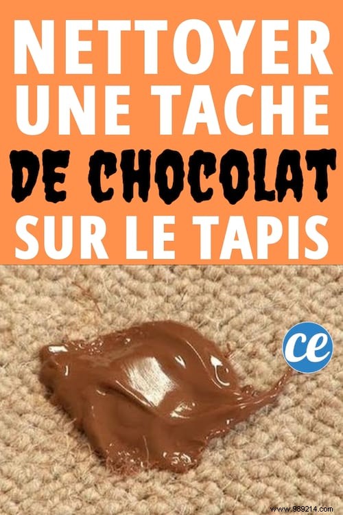 Expert Dry Cleaner s Trick: Remove Chocolate Stains from Carpet or Rug with Vinegar