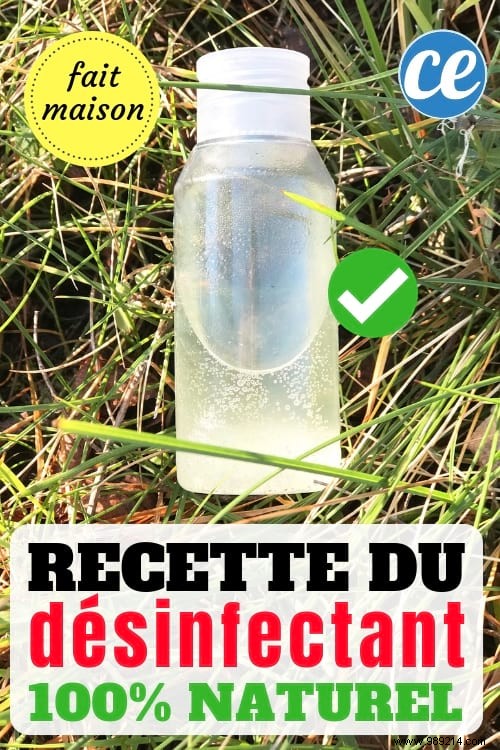 DIY 100% Natural Disinfectant: A Safe Bleach Alternative Ready in 1 Minute