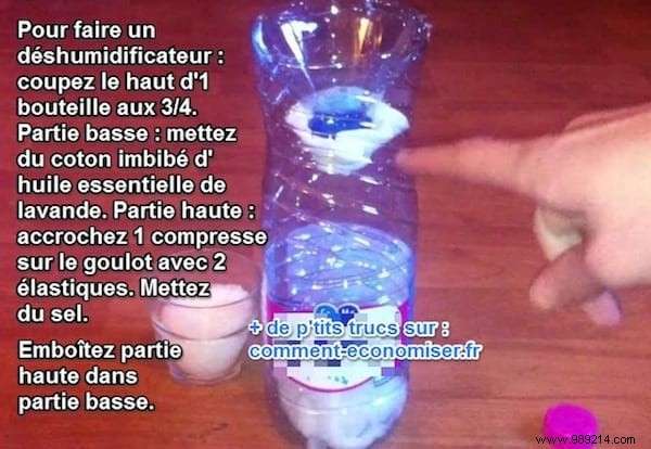 DIY Home Dehumidifier: Easy Natural Solution to Combat Indoor Humidity