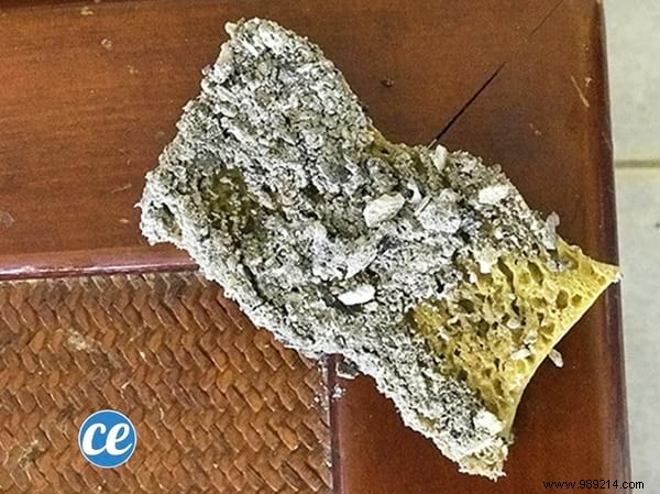 How to Clean Sooty Fireplace Insert Glass Naturally with Ashes – No Chemicals Needed