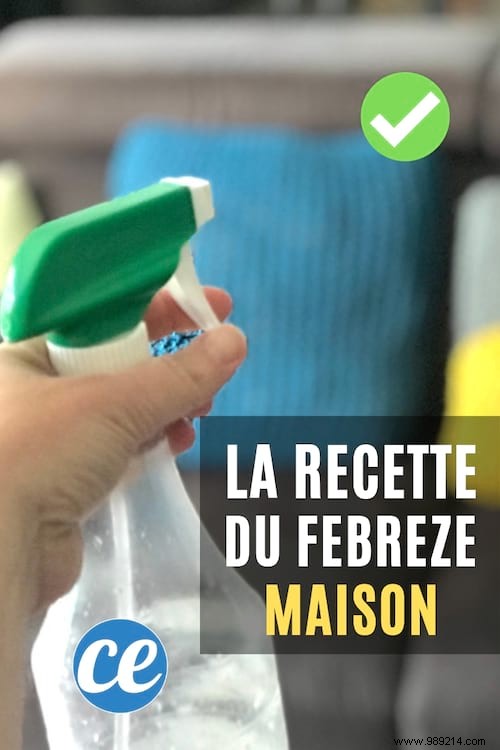 DIY Natural Febreze Recipe: Homemade Air Freshener That Costs Pennies