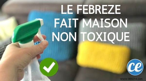 DIY Natural Febreze Recipe: Homemade Air Freshener That Costs Pennies