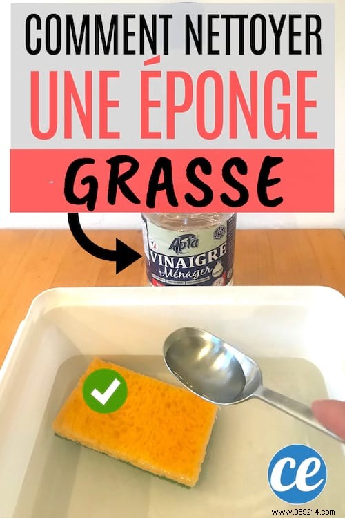 How to Clean and Disinfect a Greasy Kitchen Sponge with White Vinegar Overnight
