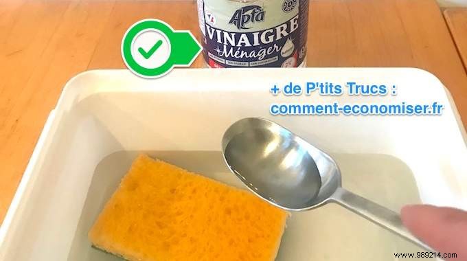 How to Clean and Disinfect a Greasy Kitchen Sponge with White Vinegar Overnight