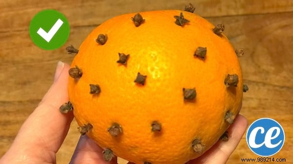 Proven DIY Natural Moth Repellent: Homemade Beeswax Pellets Moths Avoid