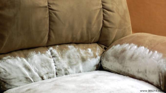 How to Eliminate Stubborn Couch Odors with Baking Soda: A Proven, Simple Trick