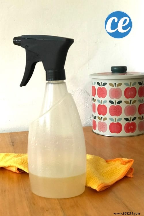 DIY Natural Anti-Dust Spray: Proven Recipe to Repel Dust for Weeks