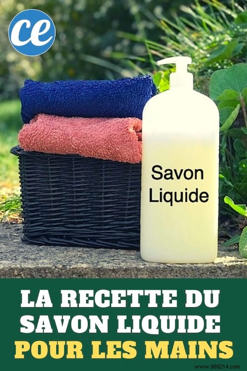 Easy 2-Ingredient Homemade Liquid Hand Soap Recipe