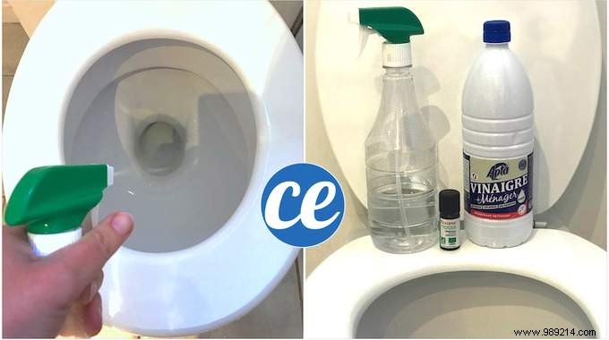 Eliminate Toilet Limescale: Powerful Homemade Descaler Spray Ready in 1 Minute