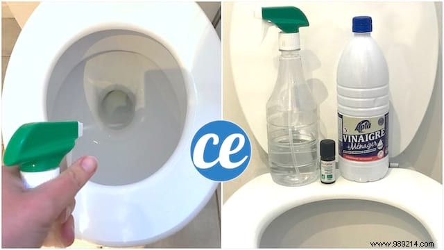 Eliminate Toilet Limescale: Powerful Homemade Descaler Spray Ready in 1 Minute