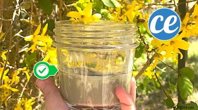 My Favorite Homemade Scouring Cream: Ready in 1 Minute, 100% Natural & More Effective Than Cif